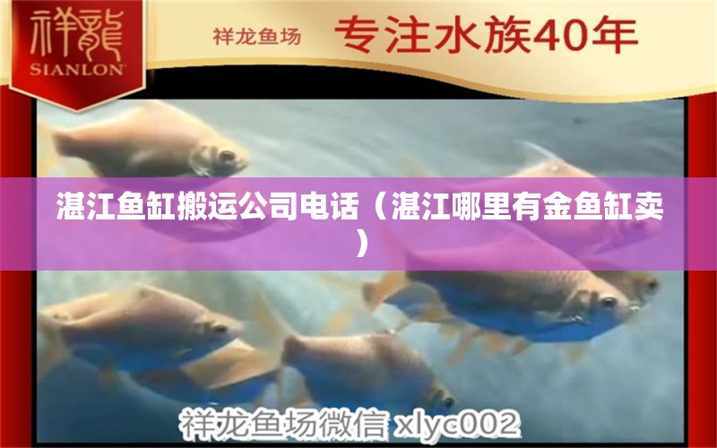 湛江魚缸搬運公司電話（湛江哪里有金魚缸賣）