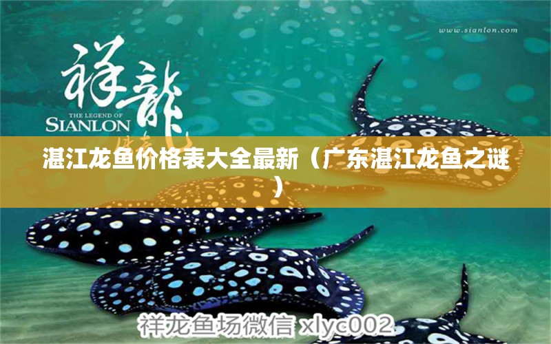 湛江龍魚價格表大全最新（廣東湛江龍魚之謎）