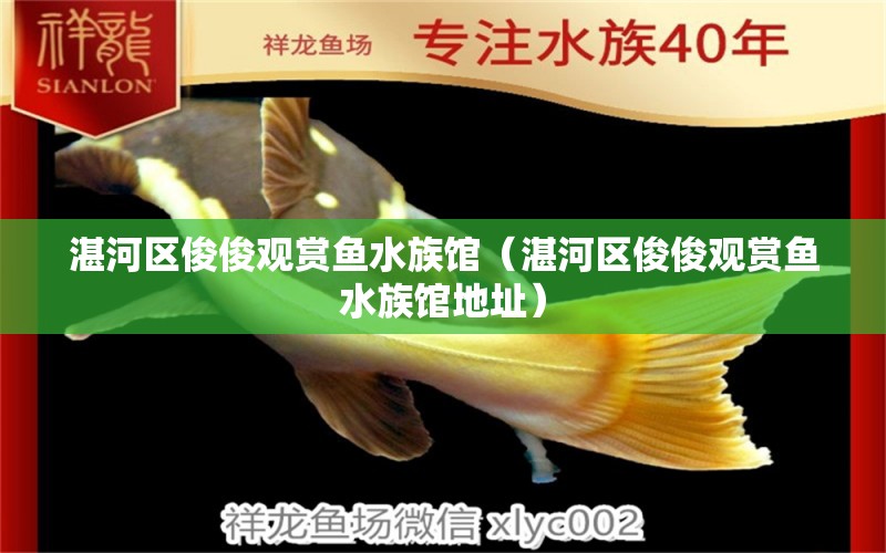 湛河區(qū)俊俊觀賞魚(yú)水族館（湛河區(qū)俊俊觀賞魚(yú)水族館地址）