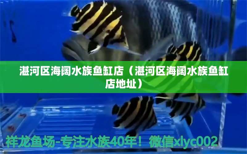 湛河區(qū)海闊水族魚缸店（湛河區(qū)海闊水族魚缸店地址） 全國水族館企業(yè)名錄