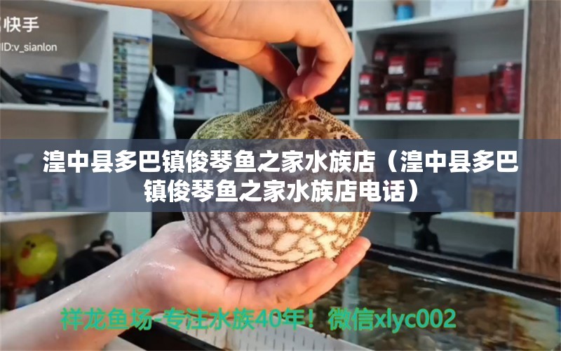 湟中縣多巴鎮(zhèn)俊琴魚之家水族店（湟中縣多巴鎮(zhèn)俊琴魚之家水族店電話）