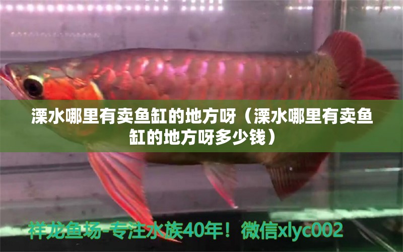 溧水哪里有賣魚缸的地方呀（溧水哪里有賣魚缸的地方呀多少錢）