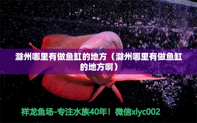 滁州哪里有做魚缸的地方（滁州哪里有做魚缸的地方?。? title=