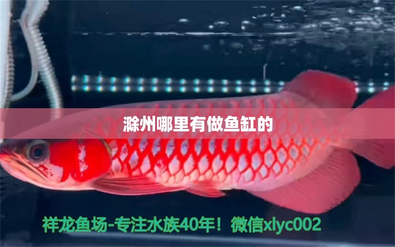 滁州哪里有做魚缸的 其他品牌魚缸