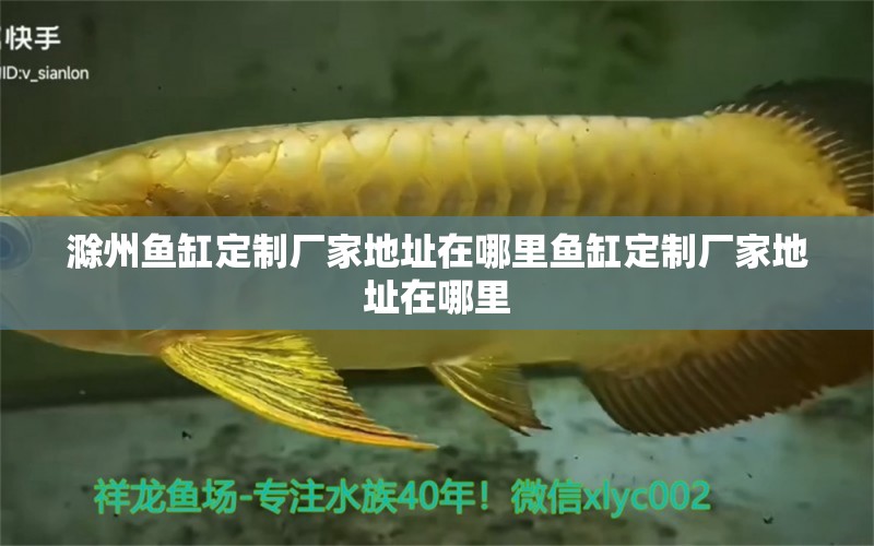 滁州魚缸定制廠家地址在哪里魚缸定制廠家地址在哪里