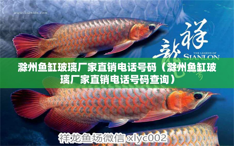 滁州魚缸玻璃廠家直銷電話號碼（滁州魚缸玻璃廠家直銷電話號碼查詢）