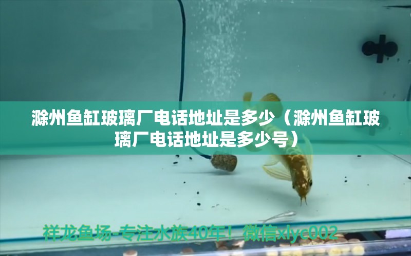 滁州魚缸玻璃廠電話地址是多少（滁州魚缸玻璃廠電話地址是多少號(hào)）