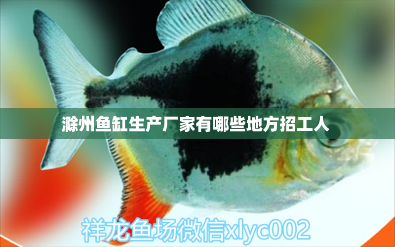 滁州魚缸生產(chǎn)廠家有哪些地方招工人 