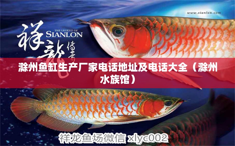 滁州魚缸生產(chǎn)廠家電話地址及電話大全（滁州水族館）