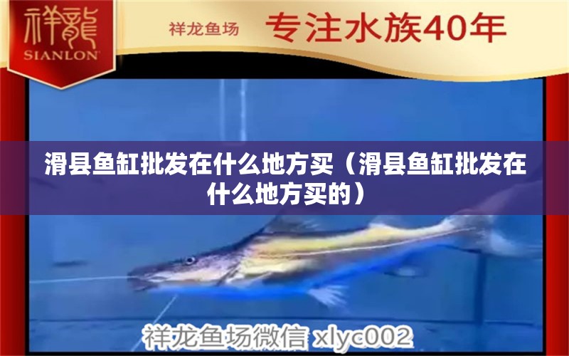 滑縣魚(yú)缸批發(fā)在什么地方買（滑縣魚(yú)缸批發(fā)在什么地方買的）