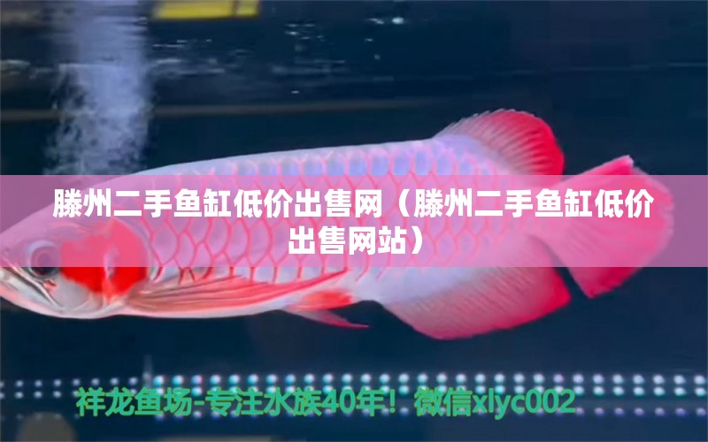 滕州二手魚缸低價出售網(wǎng)（滕州二手魚缸低價出售網(wǎng)站） 祥龍水族醫(yī)院