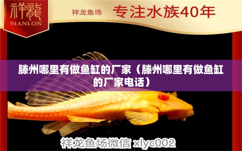 滕州哪里有做魚缸的廠家（滕州哪里有做魚缸的廠家電話） 祥龍水族醫(yī)院