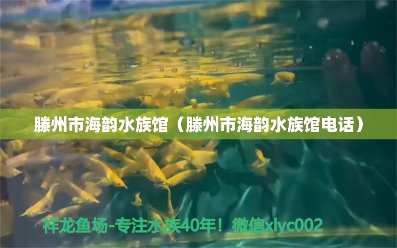 滕州市海韻水族館（滕州市海韻水族館電話）