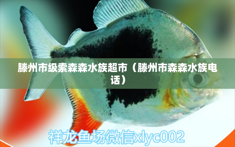 滕州市級索森森水族超市（滕州市森森水族電話） 全國水族館企業(yè)名錄