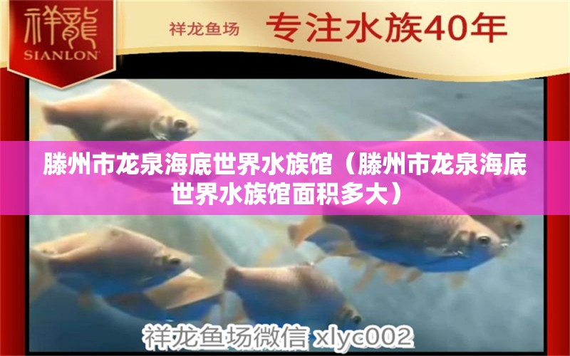 滕州市龍泉海底世界水族館（滕州市龍泉海底世界水族館面積多大）