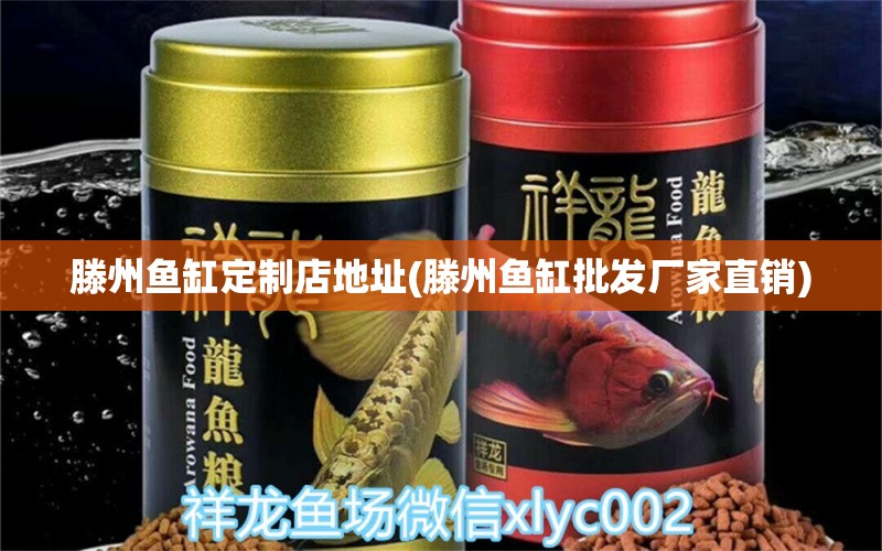 滕州魚缸定制店地址(滕州魚缸批發(fā)廠家直銷) BD魟魚