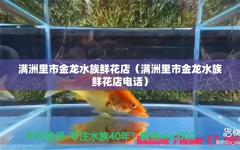 滿洲里市金龍水族鮮花店（滿洲里市金龍水族鮮花店電話）