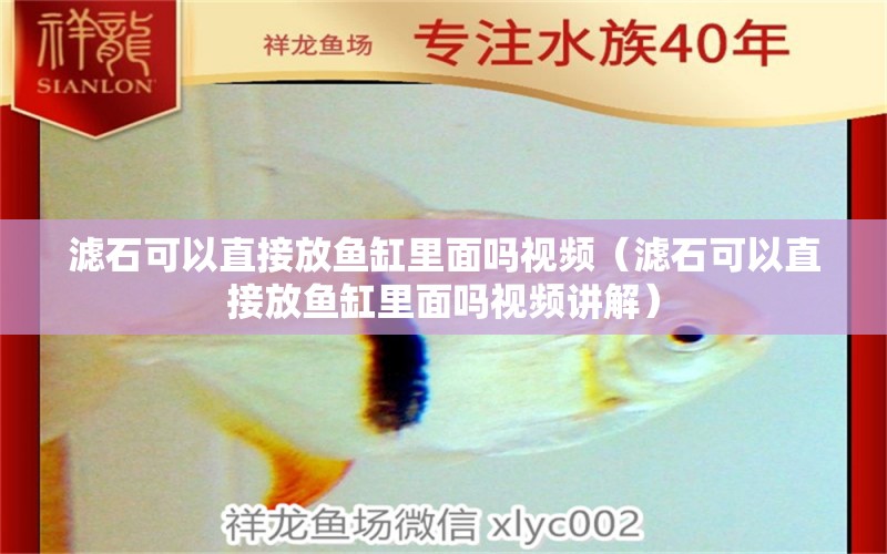 濾石可以直接放魚缸里面嗎視頻（濾石可以直接放魚缸里面嗎視頻講解）