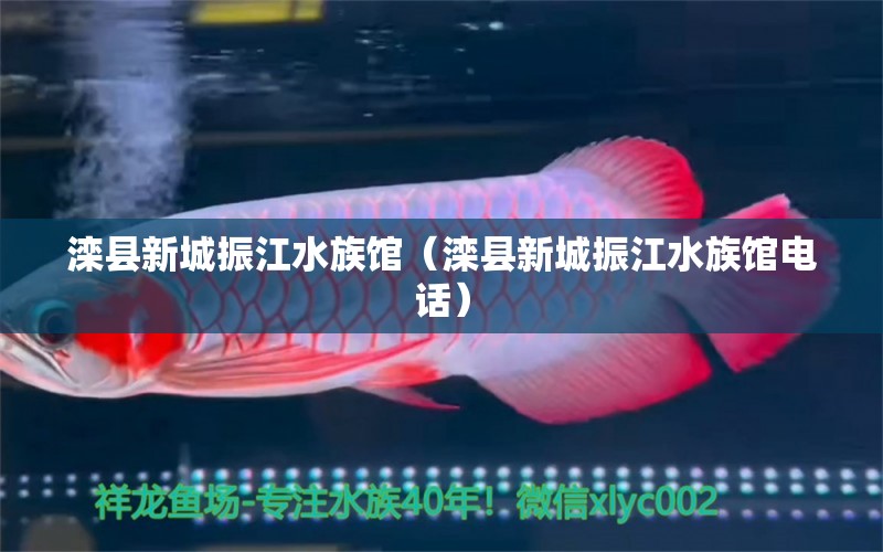 灤縣新城振江水族館（灤縣新城振江水族館電話(huà)）