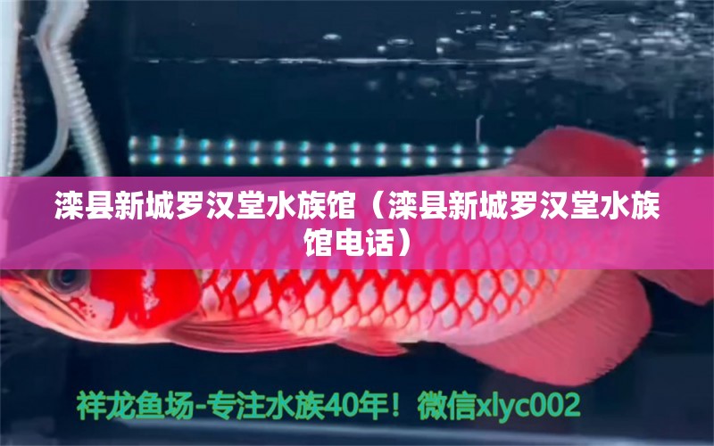 灤縣新城羅漢堂水族館（灤縣新城羅漢堂水族館電話） 全國水族館企業(yè)名錄