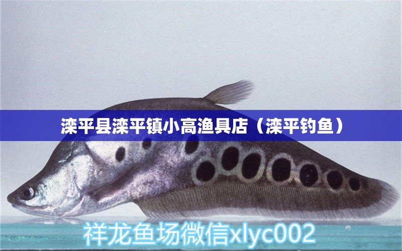 灤平縣灤平鎮(zhèn)小高漁具店（灤平釣魚）