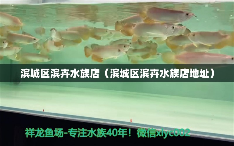 濱城區(qū)濱卉水族店（濱城區(qū)濱卉水族店地址） 全國(guó)水族館企業(yè)名錄