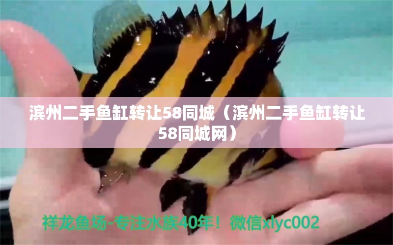 濱州二手魚缸轉(zhuǎn)讓58同城（濱州二手魚缸轉(zhuǎn)讓58同城網(wǎng)） 其他品牌魚缸