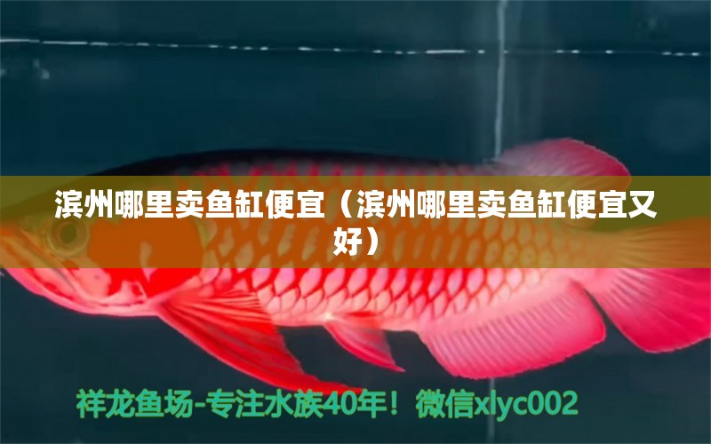 濱州哪里賣魚缸便宜（濱州哪里賣魚缸便宜又好） 其他品牌魚缸