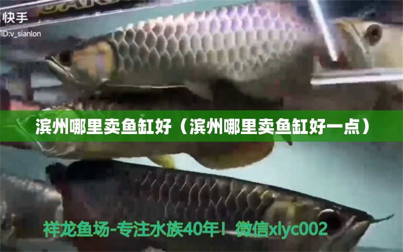 濱州哪里賣魚缸好（濱州哪里賣魚缸好一點） 其他品牌魚缸