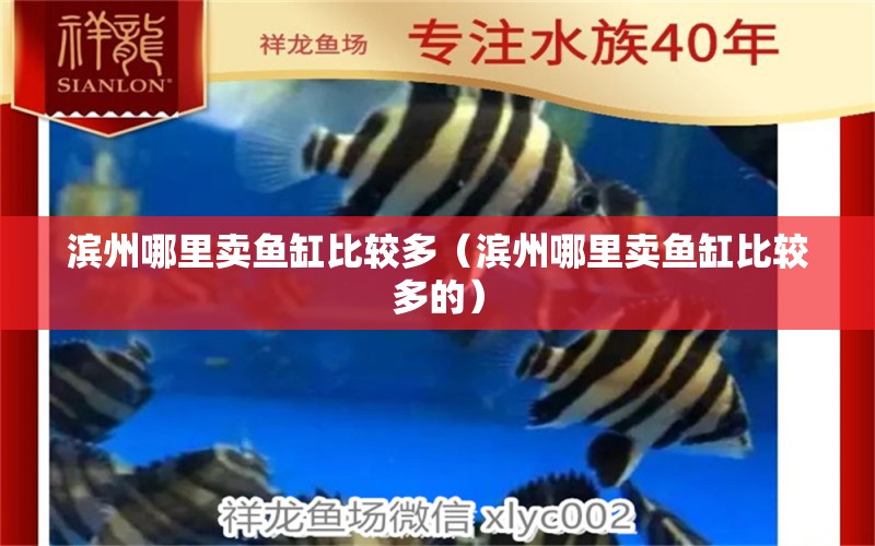 濱州哪里賣魚缸比較多（濱州哪里賣魚缸比較多的） 其他品牌魚缸