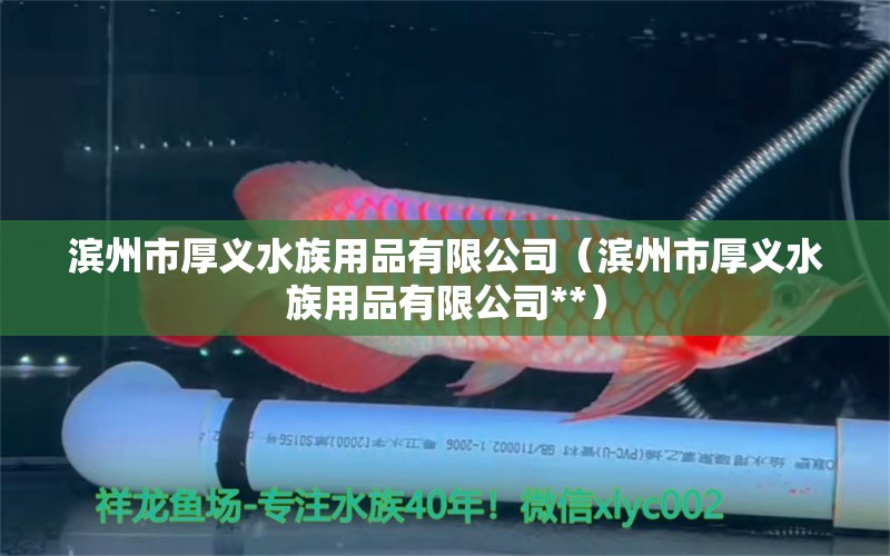 濱州市厚義水族用品有限公司（濱州市厚義水族用品有限公司**）