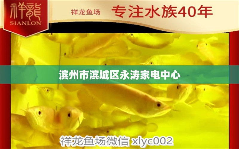 濱州市濱城區(qū)永濤家電中心 全國水族館企業(yè)名錄