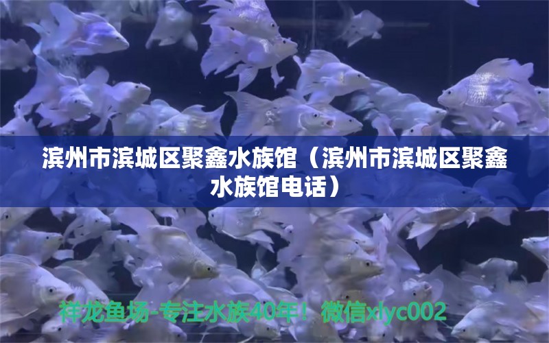 濱州市濱城區(qū)聚鑫水族館（濱州市濱城區(qū)聚鑫水族館電話）