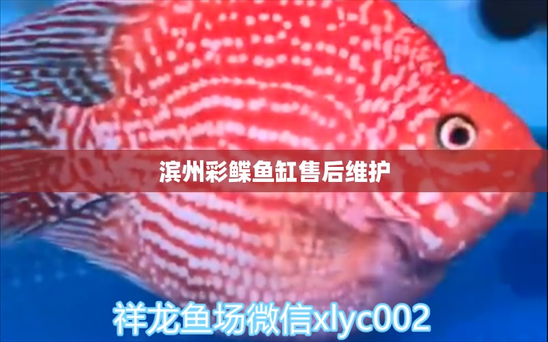 濱州彩鰈魚缸售后維護 彩鰈魚缸（彩蝶魚缸）