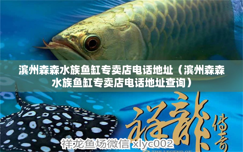 濱州森森水族魚缸專賣店電話地址（濱州森森水族魚缸專賣店電話地址查詢） 觀賞魚市場（混養(yǎng)魚）