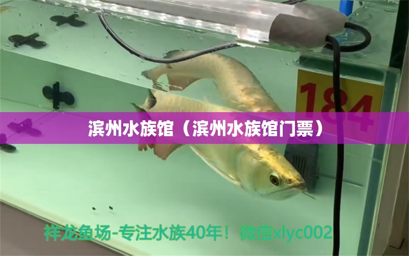 濱州水族館（濱州水族館門票）