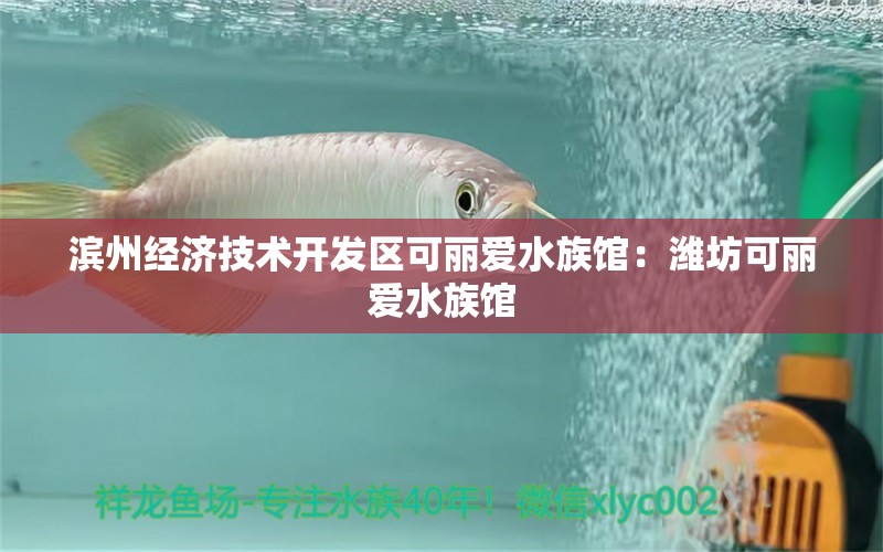 濱州經(jīng)濟技術(shù)開發(fā)區(qū)可麗愛水族館：濰坊可麗愛水族館