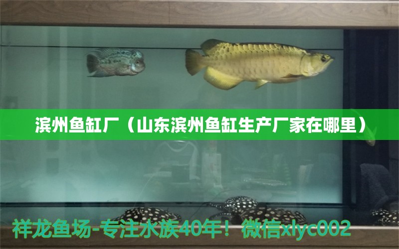 濱州魚缸廠（山東濱州魚缸生產(chǎn)廠家在哪里）