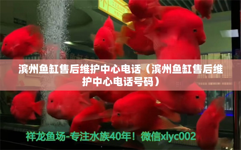 濱州魚缸售后維護(hù)中心電話（濱州魚缸售后維護(hù)中心電話號(hào)碼） 其他品牌魚缸