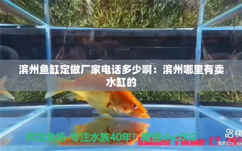 濱州魚(yú)缸定做廠家電話多少?。簽I州哪里有賣(mài)水缸的