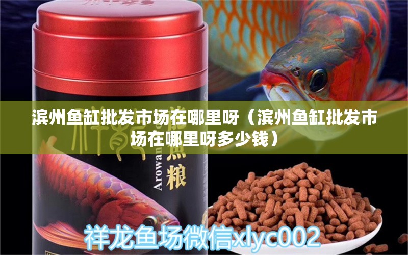 濱州魚缸批發(fā)市場在哪里呀（濱州魚缸批發(fā)市場在哪里呀多少錢） 其他品牌魚缸