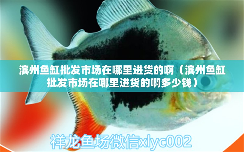 濱州魚缸批發(fā)市場在哪里進貨的?。I州魚缸批發(fā)市場在哪里進貨的啊多少錢） 養(yǎng)魚知識