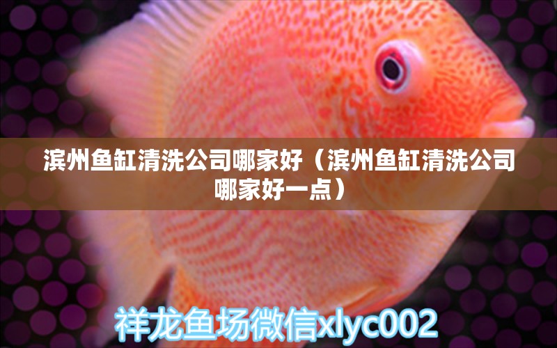 濱州魚缸清洗公司哪家好（濱州魚缸清洗公司哪家好一點(diǎn)）