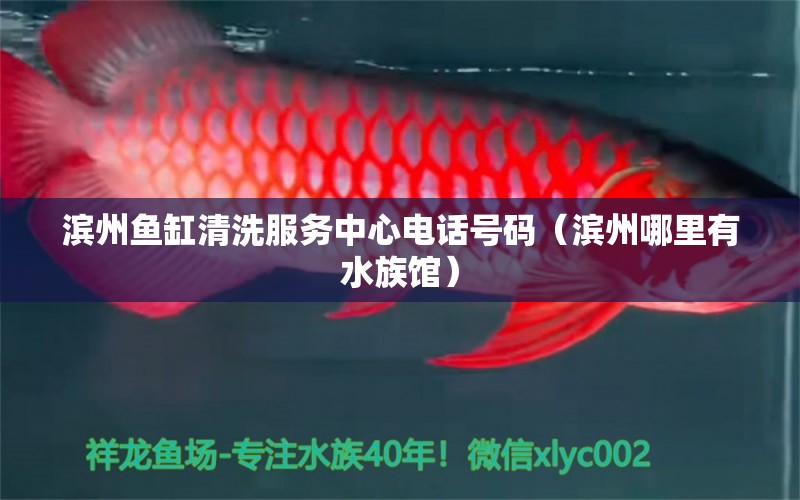 濱州魚缸清洗服務(wù)中心電話號碼（濱州哪里有水族館） 廣州觀賞魚批發(fā)市場