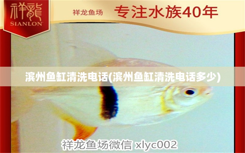 濱州魚缸清洗電話(濱州魚缸清洗電話多少) 飛鳳魚苗