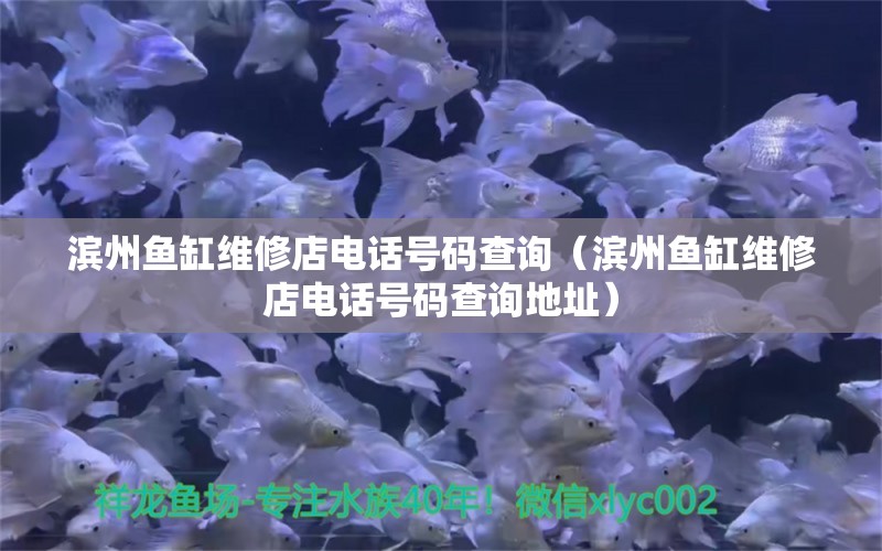 濱州魚缸維修店電話號碼查詢（濱州魚缸維修店電話號碼查詢地址）