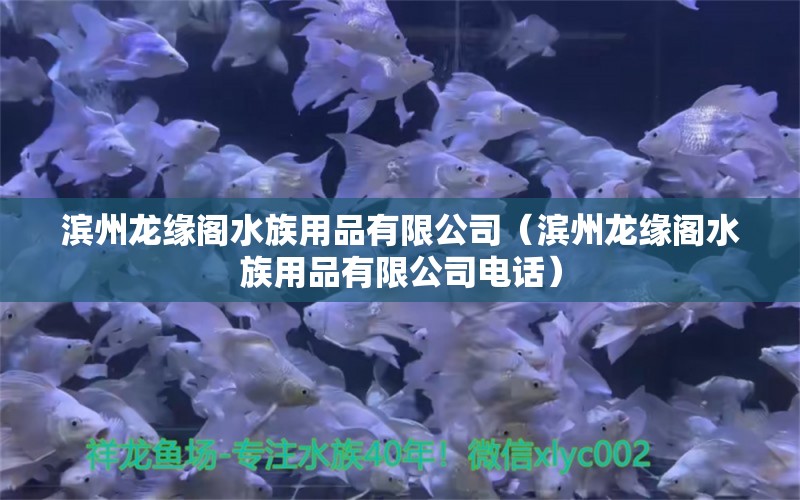 濱州龍緣閣水族用品有限公司（濱州龍緣閣水族用品有限公司電話） 水族用品