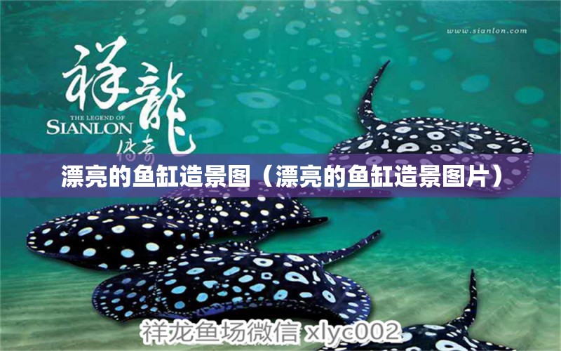 漂亮的魚(yú)缸造景圖（漂亮的魚(yú)缸造景圖片） 量子養(yǎng)魚(yú)技術(shù)