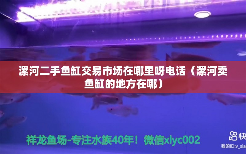 漯河二手魚缸交易市場在哪里呀電話（漯河賣魚缸的地方在哪） 量子養(yǎng)魚技術(shù)