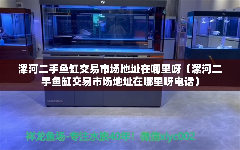 漯河二手魚缸交易市場地址在哪里呀（漯河二手魚缸交易市場地址在哪里呀電話）